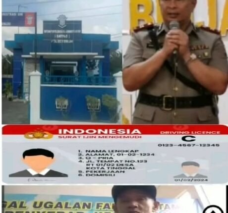 foto slider headline